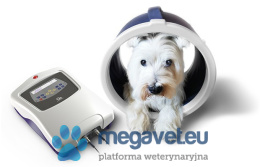 Magnetotherapy device PMT Qs Vet [MID]