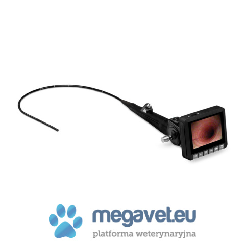 EickView LED-Videoendoscope