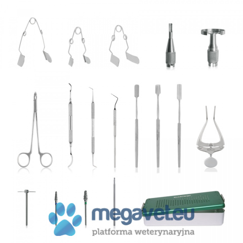 Dental kit for rodents with rotary instruments