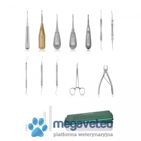 Dental kit for dogs and cats, large