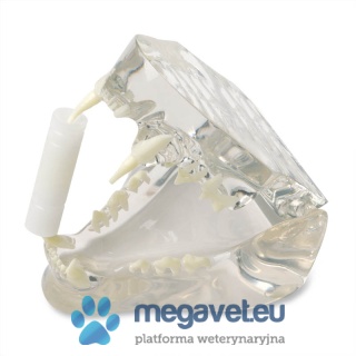 Reaming kit EICKEMEYER® [ECM]