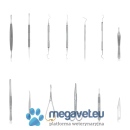 Dental kit for dogs and cats [ECM]