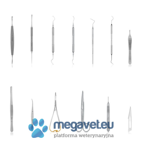 Dental kit for dogs and cats