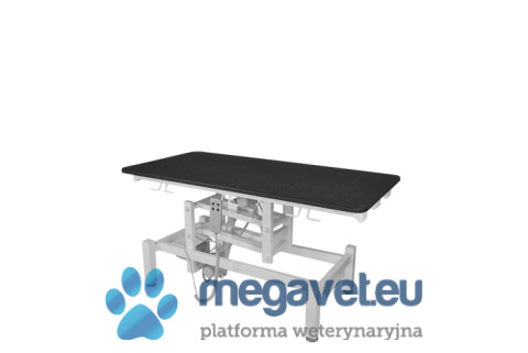 Electric veterinary treatment table model VET E-04 [WOE]