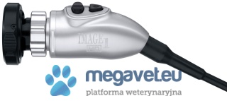 Camera head IMAGE1 S HX One-Chip FULL HD KARL STORZ [MEM]