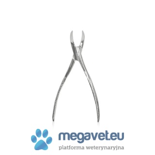 Kleszcze dentystyczne do korzeni Witzel [GWV]