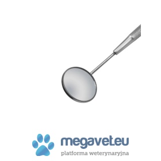 Teleskopowe lusterko stomatologiczne [GWV]