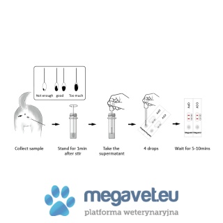 Test antygenowy CPV/CCV 10 sztuk w opakowaniu [GWV]