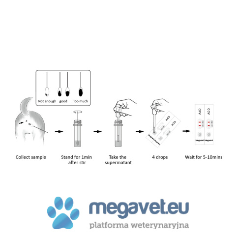 Test antygenowy CPV/CCV 10 sztuk w opakowaniu [GWV]