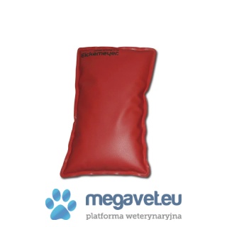 Sand bag 1,2kg [GWV]