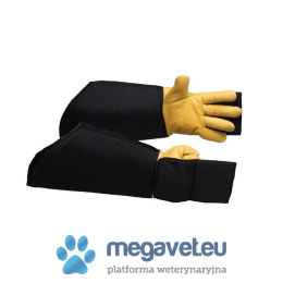 Rabies protective gloves [GWV]