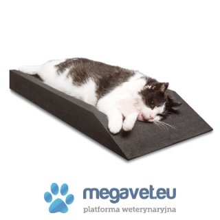 Pozycjoner Dento-Dorm® [ECM]