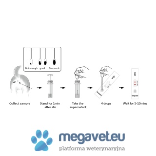 Test antygenowy Giardia 10 sztuk w opakowaniu [GWV]