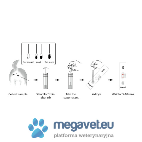 Antigen test Giardia 10 pieces per package [GWV]