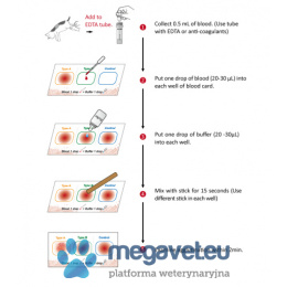 Diagnostic tests for blood group for cats 5 pieces per package [GWV]
