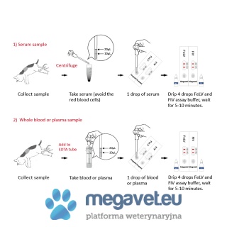 Test FeLV Ag/FIV Ab 10 sztuk w opakowaniu [GWV]