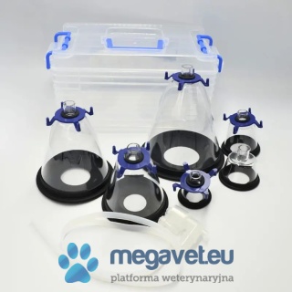 Anesthetic mask set in a box [GWV]