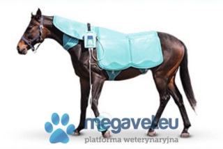 Set Of Lumina VET XL EASY [BMG]