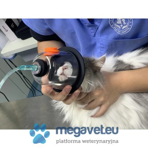 Zestaw masek tlenowych w pudełku [GWV]