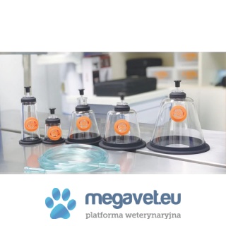 Oxygen Mask Set in Box [GWV]