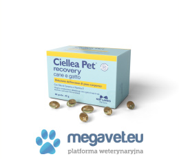 Ciellea Pet cane e gatto 30/60 capsules (ILV)