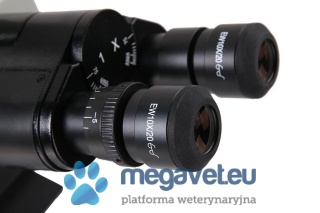 Delta Optical Evolution 100 Trino Plan LED (DOP) Microscope