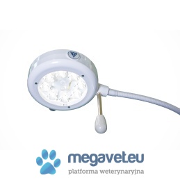 SOLIS 30X Console Diagnostic Light (TCM)