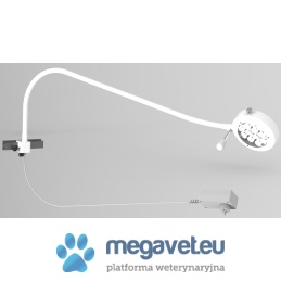 SOLIS 30X Console Diagnostic Light (TCM)