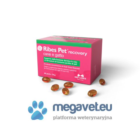 Ribes Pet cane e gatto 30/60 kapsułek (ILV)