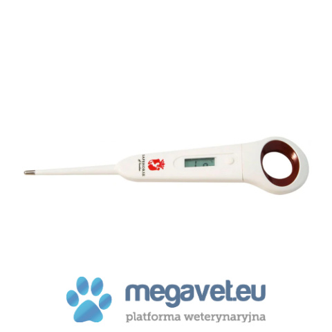 Termometr cyfrowy duży [GWV]