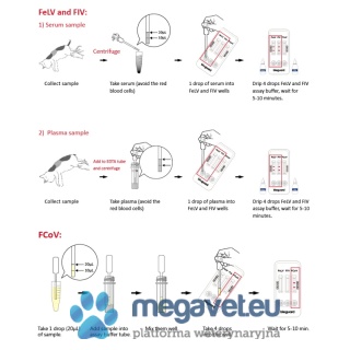 Test FeLV Ag/FIV Ab/FCoV (3X) 10 sztuk w opakowaniu [GWV]