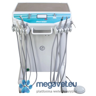 Zestaw końcówek Platinum [GWV]