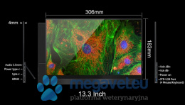 HDMI Display for Veterinary Microscope Cameras (DOP)