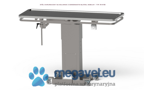 Veterinary Surgical Tables on a Column (EUV)