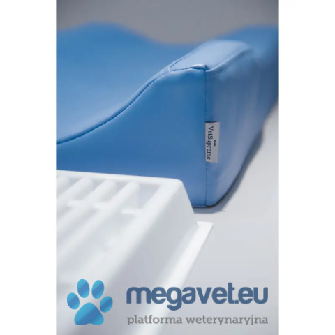 Dental Positioner [GWV]