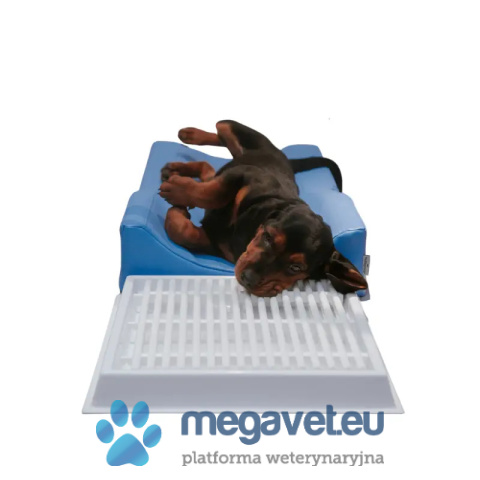 Dental Positioner [GWV]