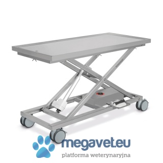 Set: Stationary II Lifting Scissor Table and Mobile Set [ECM]