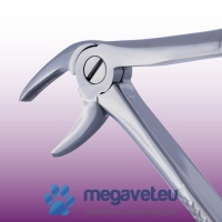 Dental Instruments (TCM)