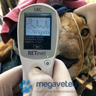 RETevet™ Electroretinograph – Visual Electrodiagnostic System (ERG) [ECM]
