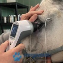 RETevet™ Electroretinograph – Visual Electrodiagnostic System (ERG) [ECM]