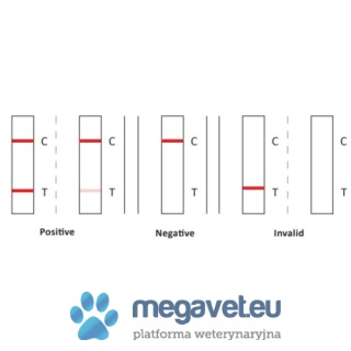 Test na przeciwciała E.canis/Anaplasma/B.gibsoni [GWV]