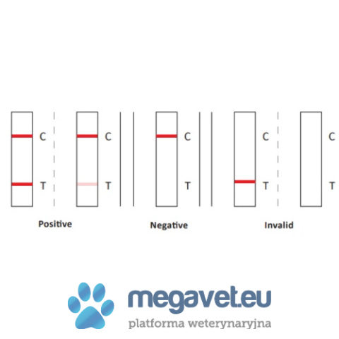 E.canis/Anaplasma/B.gibsoni antibody test [GWV]