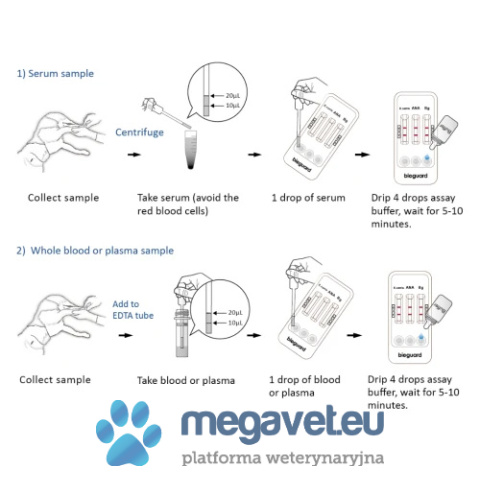 E.canis/Anaplasma/B.gibsoni antibody test [GWV]