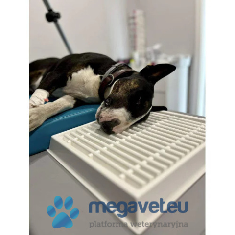 Ociekacz stomatologiczny [GWV]