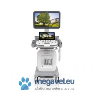 Aparat Ultrasonograficzny Acuson Maple SIEMENS (BSM)