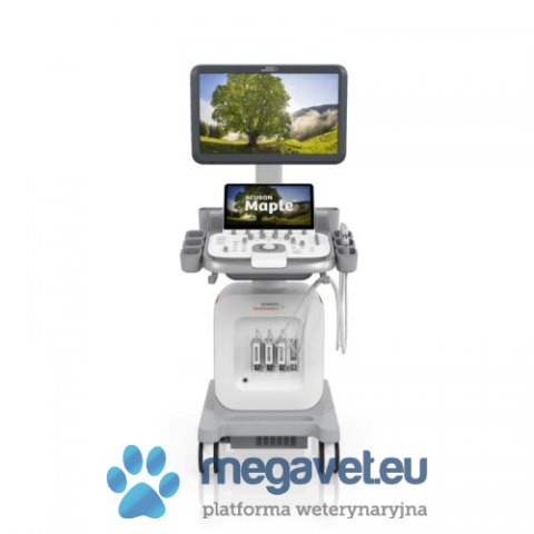 Aparat Ultrasonograficzny Acuson Maple SIEMENS (BSM)