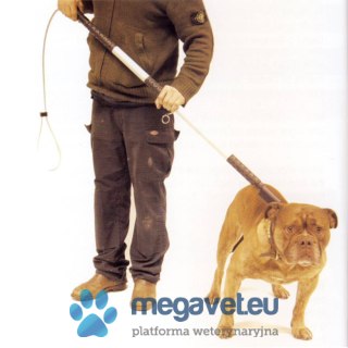 Chwytak na silne i agresywne psy dł. 110 cm (BSM)