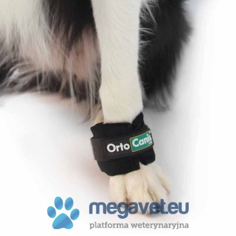 Ciężarki na łapy psa Ortocanis (BSM)