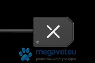 Czujnik do RTG Xline StarX Pro USB rozmiar 2 (BSM)