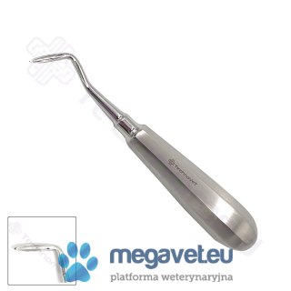 Dźwignia korzeniowa APICAL prawostronna (TCM)